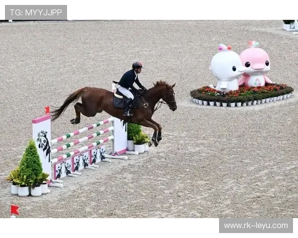 伊朗马术协会与非洲马术协会开展技术援助项目，提升当地水平。